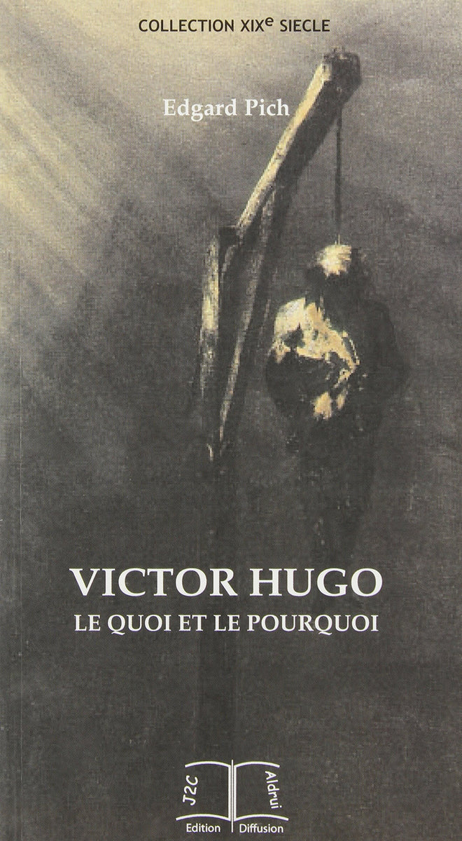 Victor Hugo Le Quoi Et Le Pourquoi – BabelBooks